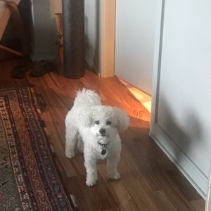 Meet your Posher, Alejandra